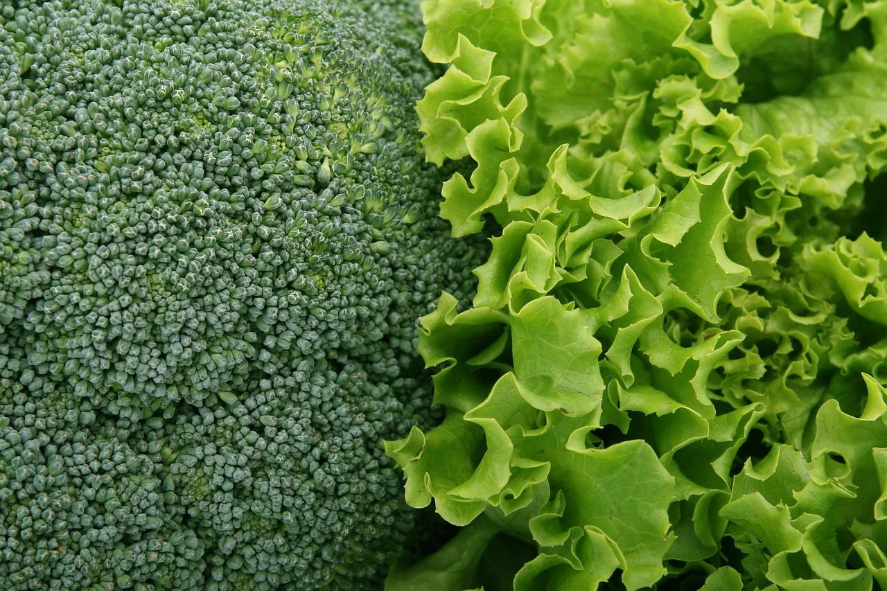 broccoli, lettuce, vegetables, salad, green, fresh, leafy greens, broccoli, broccoli, broccoli, broccoli, lettuce, lettuce, lettuce, lettuce, vegetables, salad, salad, salad, salad, salad, leafy greens, leafy greens, leafy greens, leafy greens