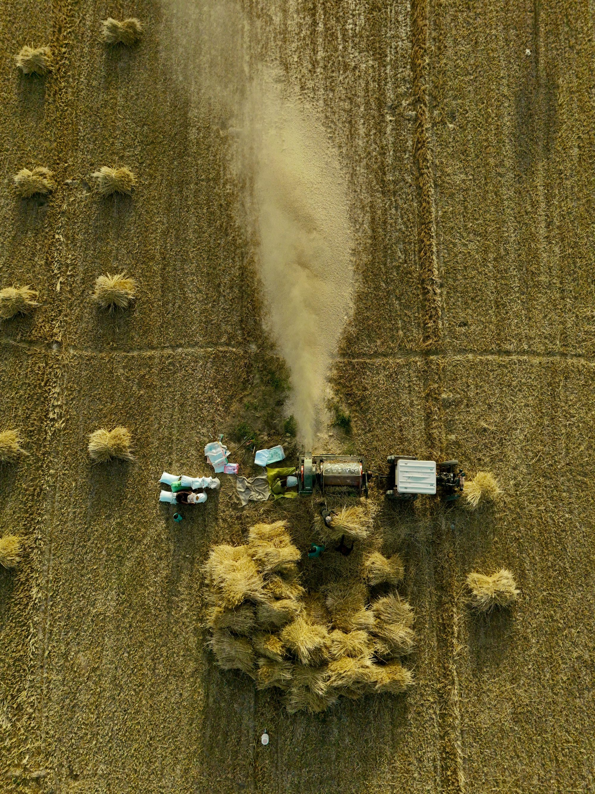 Aerial shot showing traditional wheat harvesting with machinery in a Pakistani field.