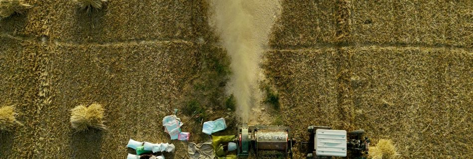 Aerial shot showing traditional wheat harvesting with machinery in a Pakistani field.