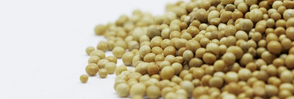 A close-up image showing a pile of brown mustard seeds on a white surface, highlighting their texture and color.